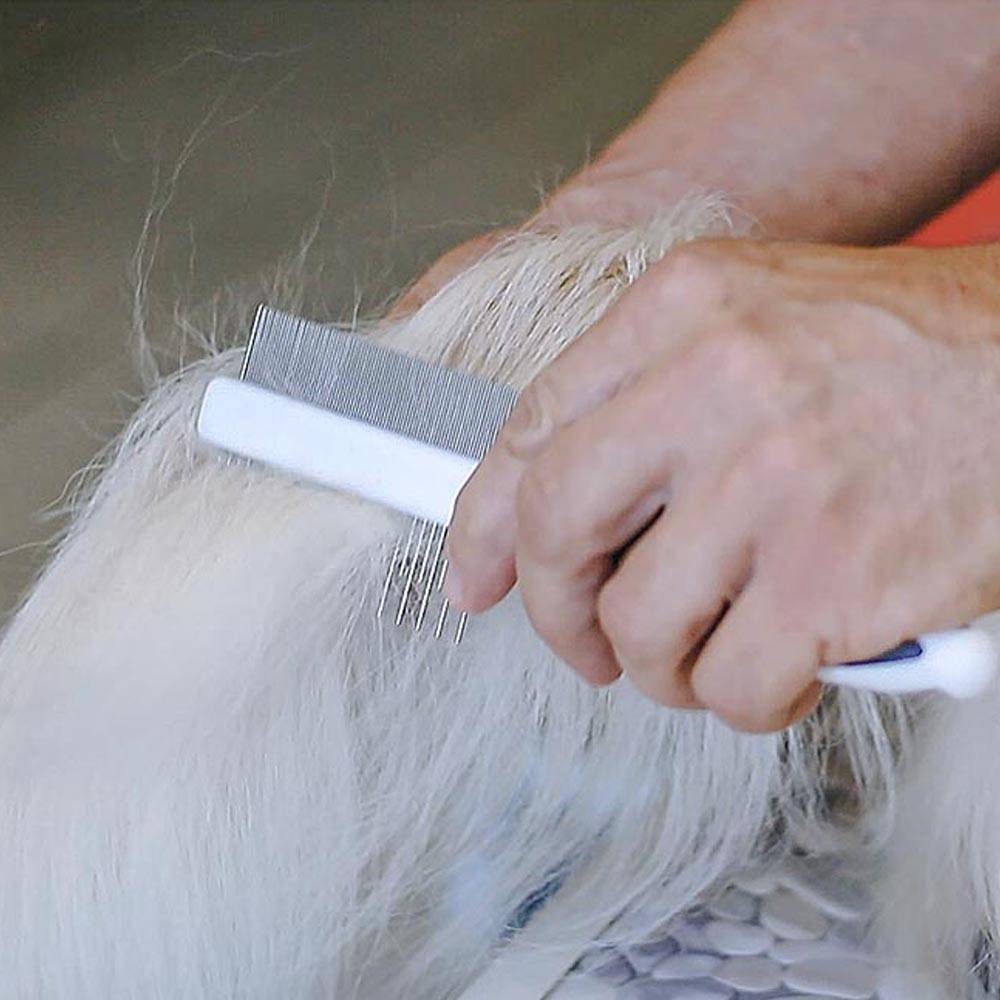 Ferplast - Double Peigne en Acier Chromé GRO 5755 PREMIUM, Ergonomique pour Chiens à Poils Moyens et Longs - Image 4