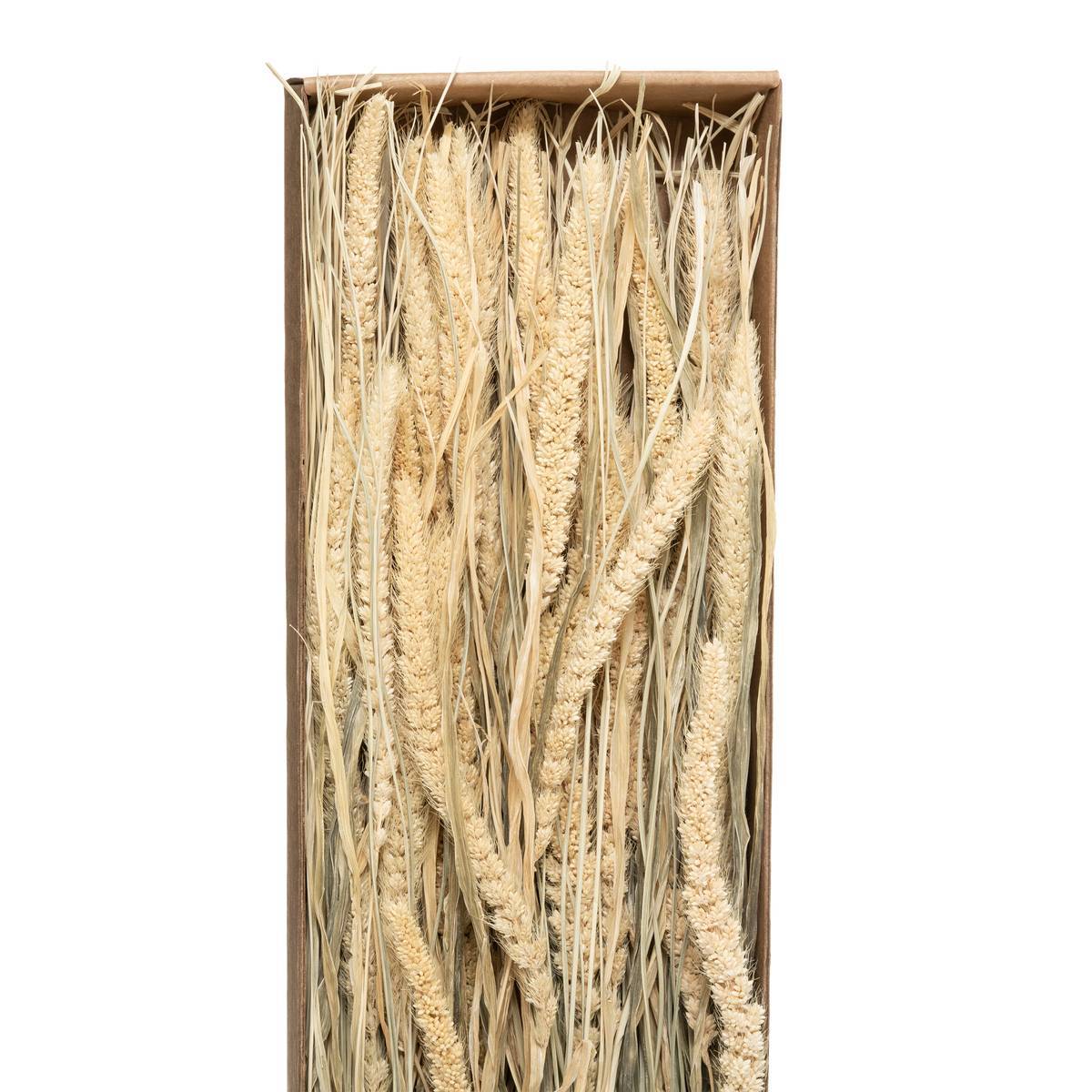 Atmosphera - Bouquet fleurs séchées boîte kraft H60cm - Atmosphera Créateur d'intérieur - Imagen 4