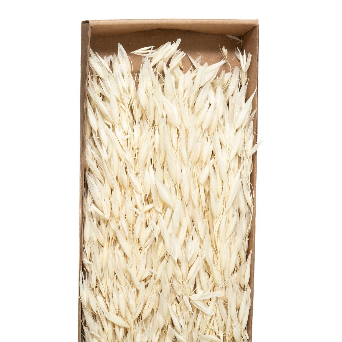 Atmosphera - Bouquet fleurs séchées boîte kraft H60cm - Atmosphera Créateur d'intérieur - Imagen 5
