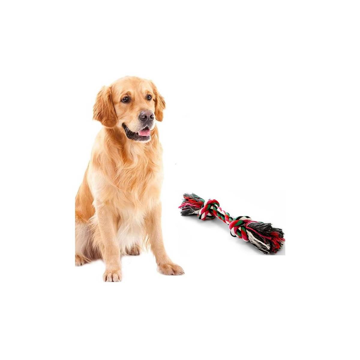 Jouet pour Chien Corde Coton Jeu dentaire 20 cm Os à Mâcher Hygiène Bucco-dentaire Nœuds - Imagen 1