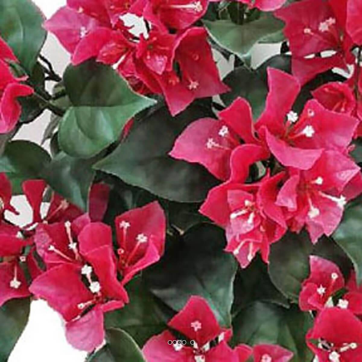 Artificielles - Bougainvillier artificiel retombant en piquet pour exterieur L 50 cm - Imagen 3