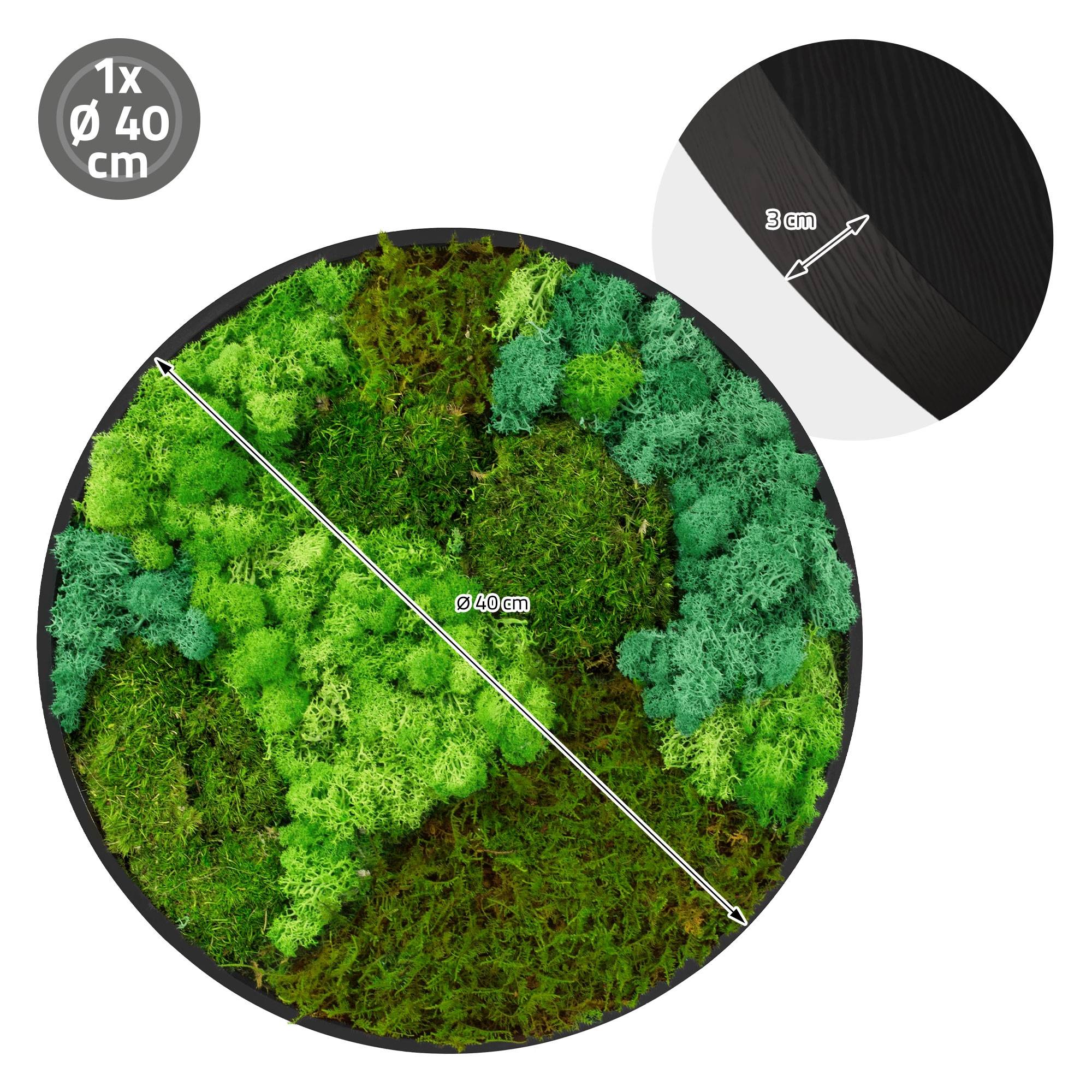 Ecd-Germany - Tableau végétal mural, mélange de mousses stabilisées, cadre en MDF rond Ø 40 cm, vert, décoration d'intérieur effet 3D, sans entretien, pièce unique - Image 8
