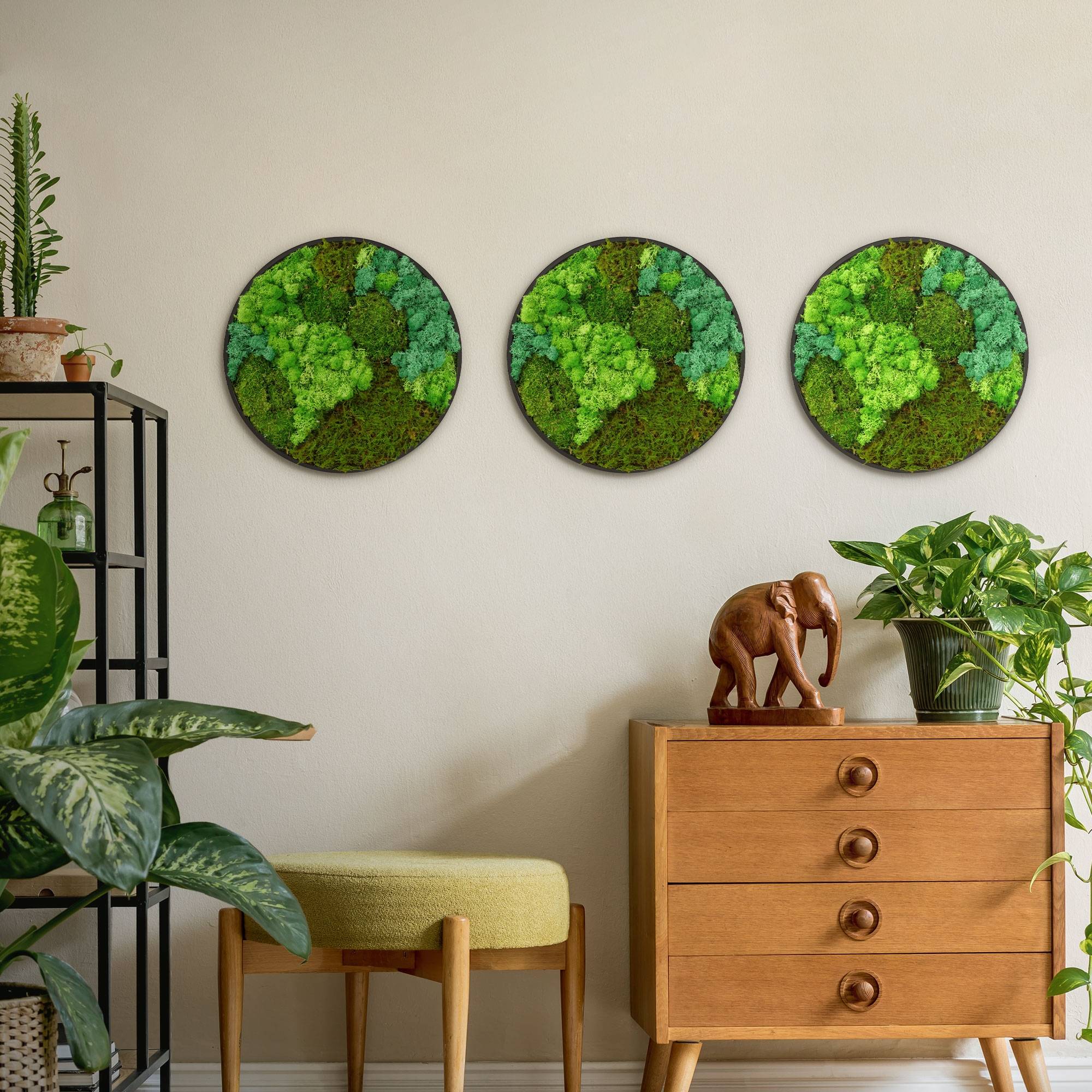 Ecd-Germany - Tableau végétal mural, mélange de mousses stabilisées, cadre en MDF rond Ø 40 cm, vert, décoration d'intérieur effet 3D, sans entretien, pièce unique - Image 9