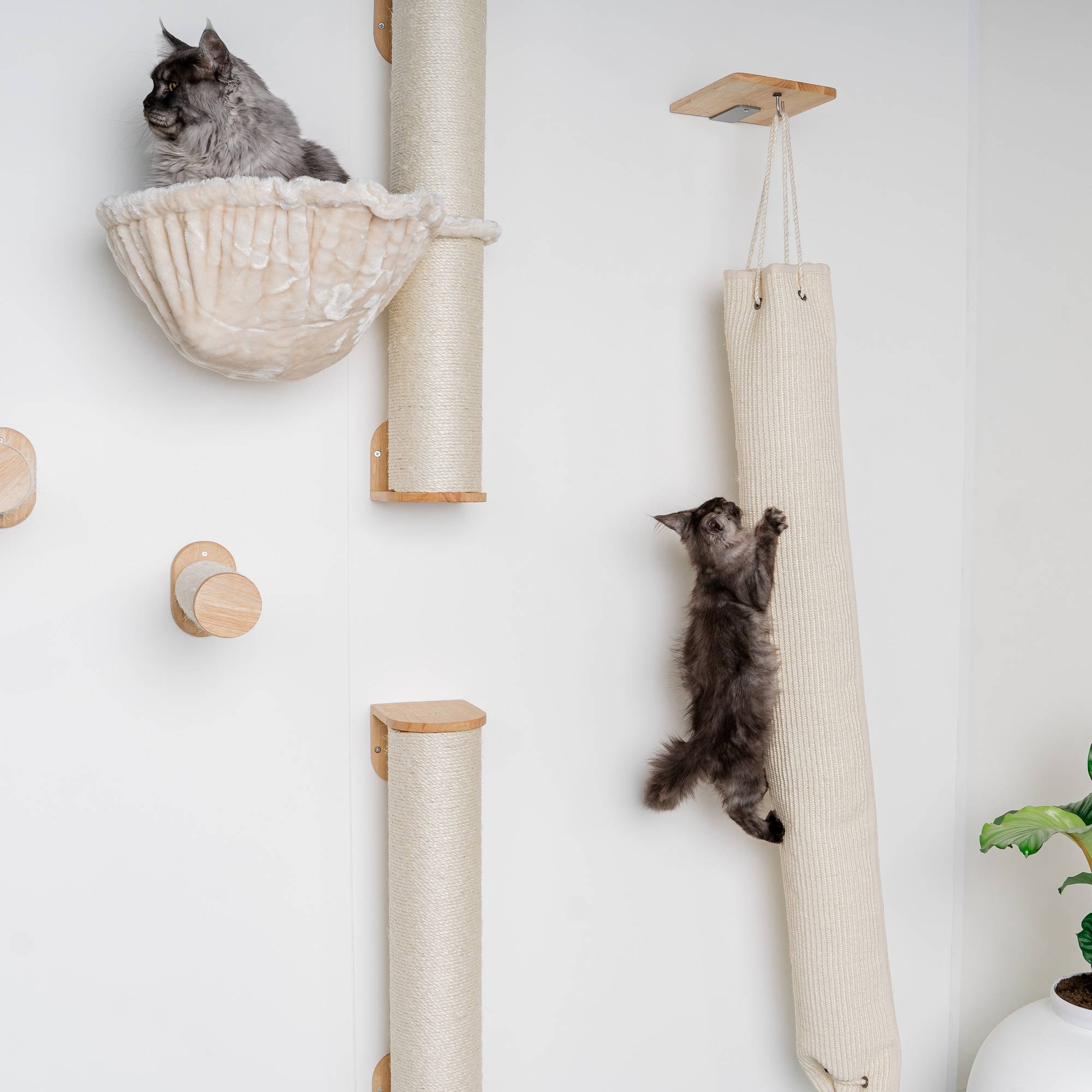 Rhr Concepts Bv - Mur d’escalade pour chat - Sac à grimper (beige) - RHR Concepts BV - Imagen 2