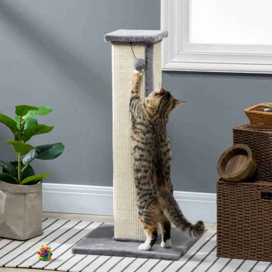 Poteau Griffoir pour Chat Haut 81 cm avec Poteau en Sisal et Balle Suspendue Gris - ComfortXL Outdoor Living - Image 9