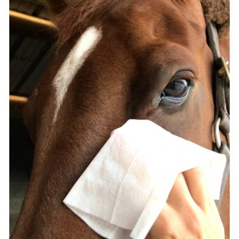 Laboratoire Ravene - Easy Shine Wipe - Ravene RAVENE - Imagen 2
