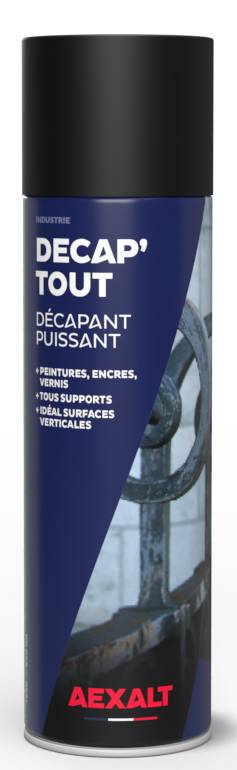 Décapant Décap'tout  puissant aérosol de 650ml - AEXALT - 1526