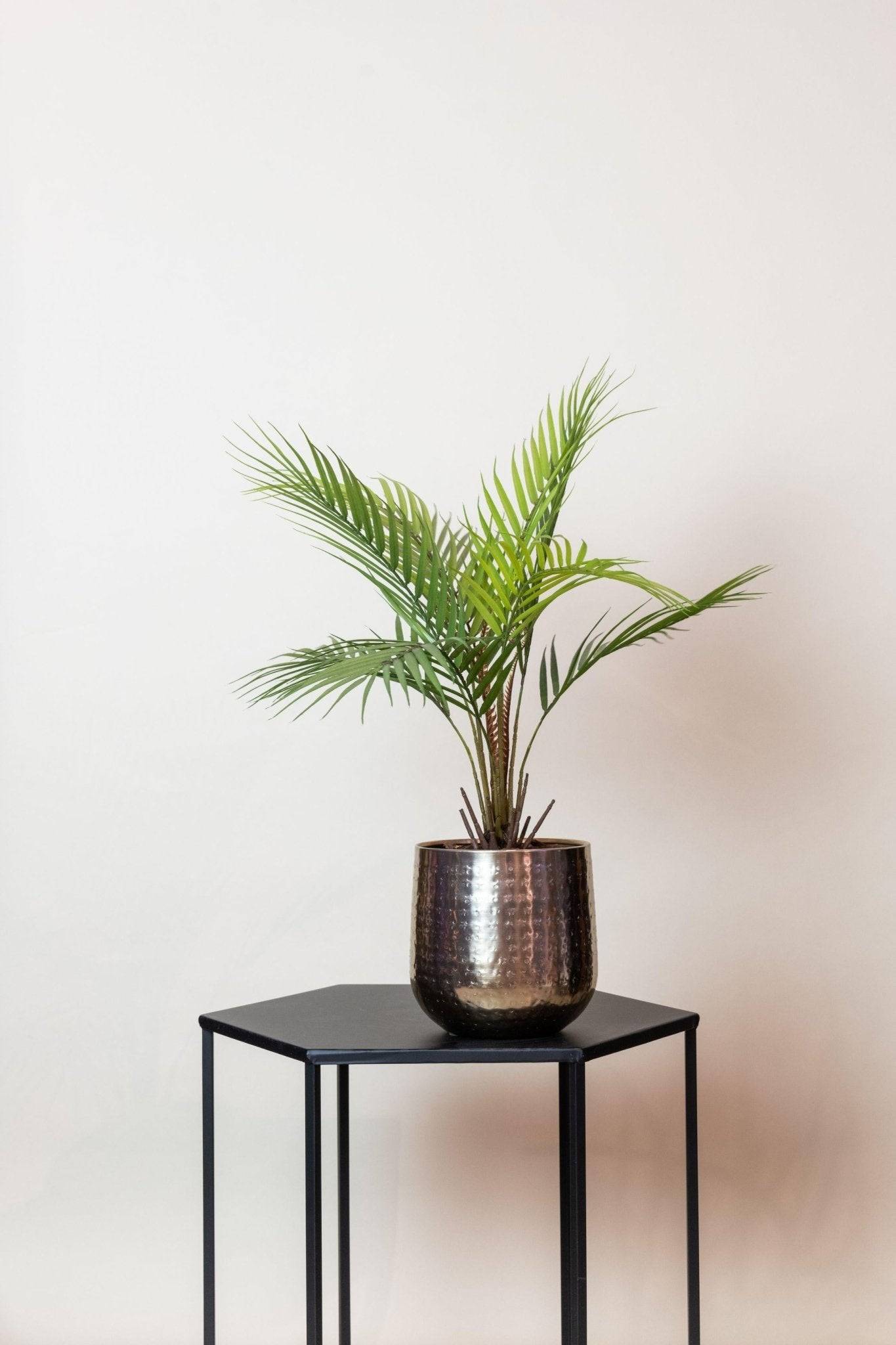 La Green Touch - Chamaedorea artificiel - h50cm, Ø15cm- La Green Touch - Imagen 6