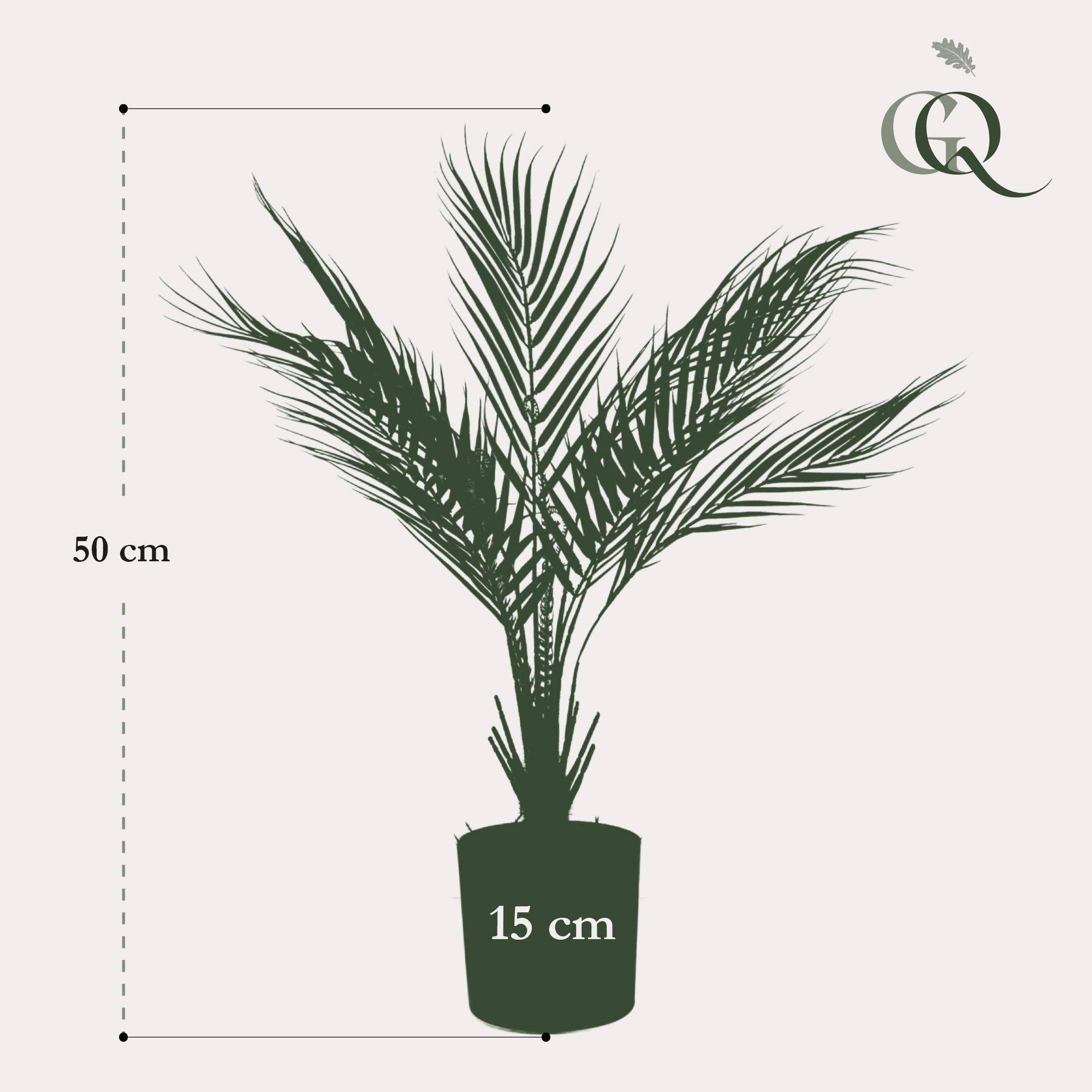 La Green Touch - Chamaedorea artificiel - h50cm, Ø15cm- La Green Touch - Imagen 5