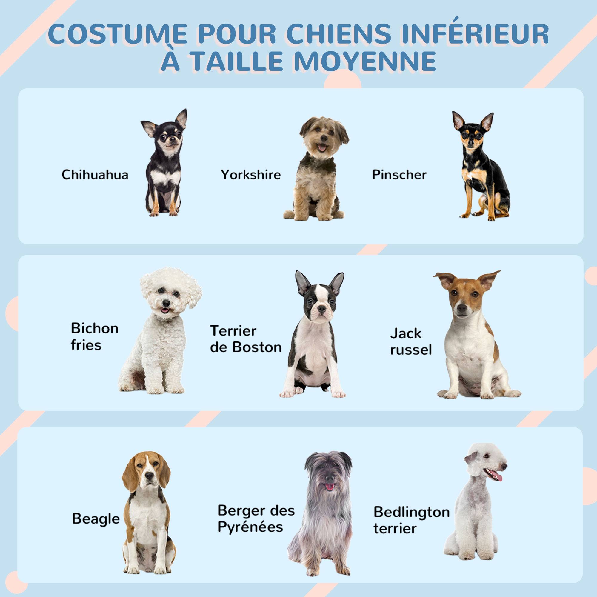Niche extérieure plastique PP pour chien moyen toit double pente 65x75x63cm blanc - ComfortXL Outdoor Living - Image 9