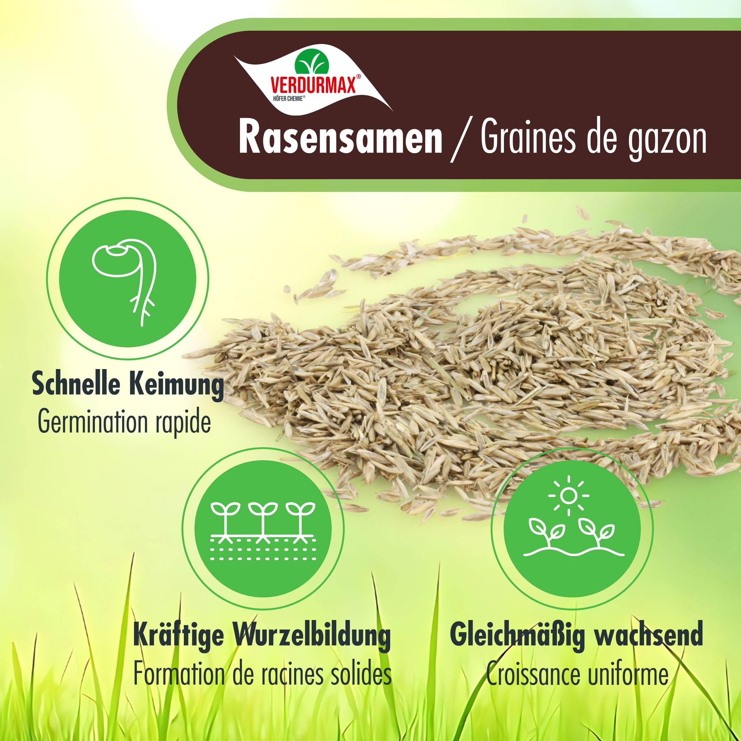 5 kg VERDURMAX® Semences de gazon x 4 - Image 5