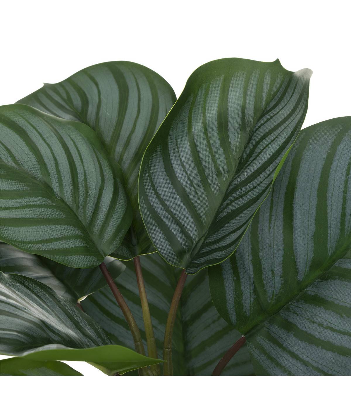 Plante artificielle Maranta en pot H 45 cm - Imagen 2