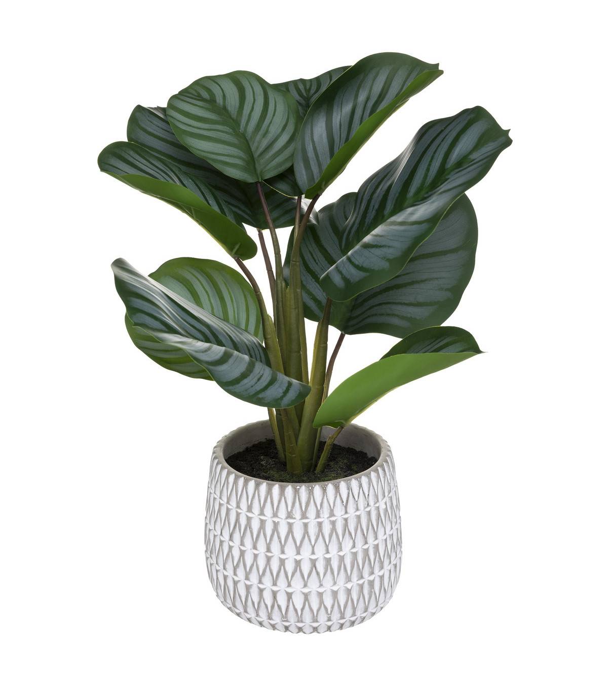 Plante artificielle Maranta en pot H 45 cm - Imagen 1