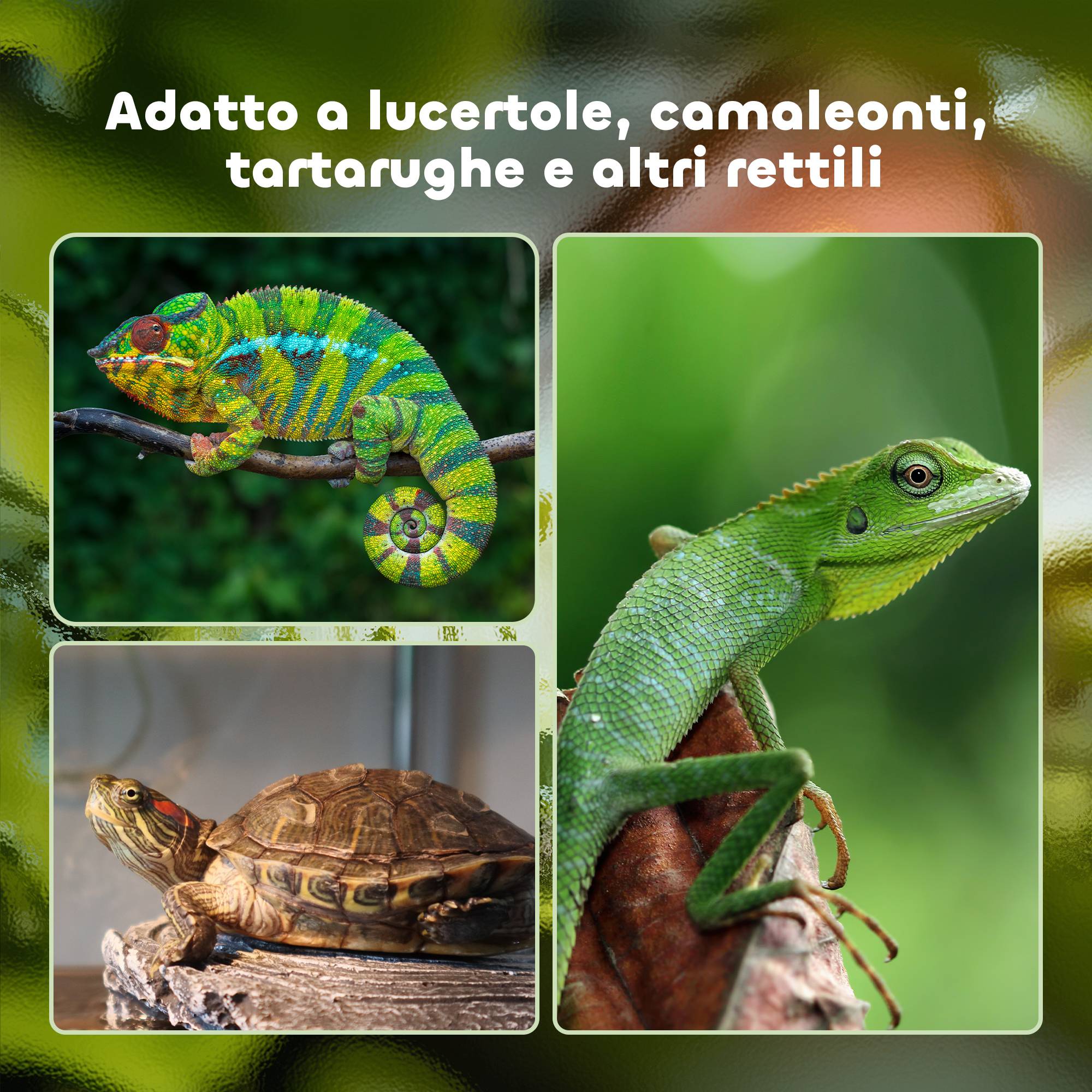 Terrarium pour tortues terrestres et reptiles avec thermomètre 18-34℃, 60x40x40,5 cm, noir - Image 9