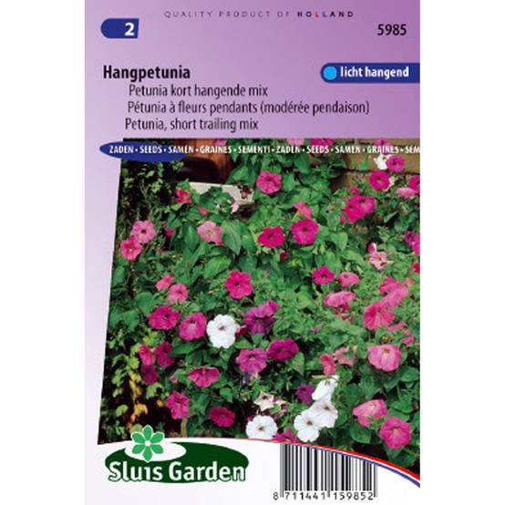 Graines de Pétunia retombant en mélange Balcony Mix - Petunia x hybrida pendula le sachet de 1700 graines environ (0,25g)