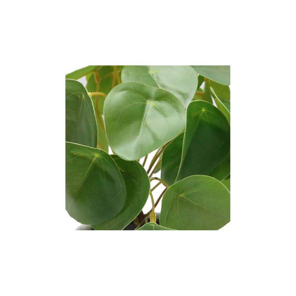 Jardindeco - Pilea artificiel toucher naturel pot céramique - Imagen 2