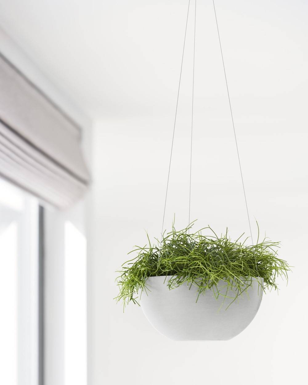 Ecopots - Pot supsendu Brussels 27 Blanc Gris - Ø 26,5 x H. 13 cm - 4,2 L ECOPOTS - Imagen 5