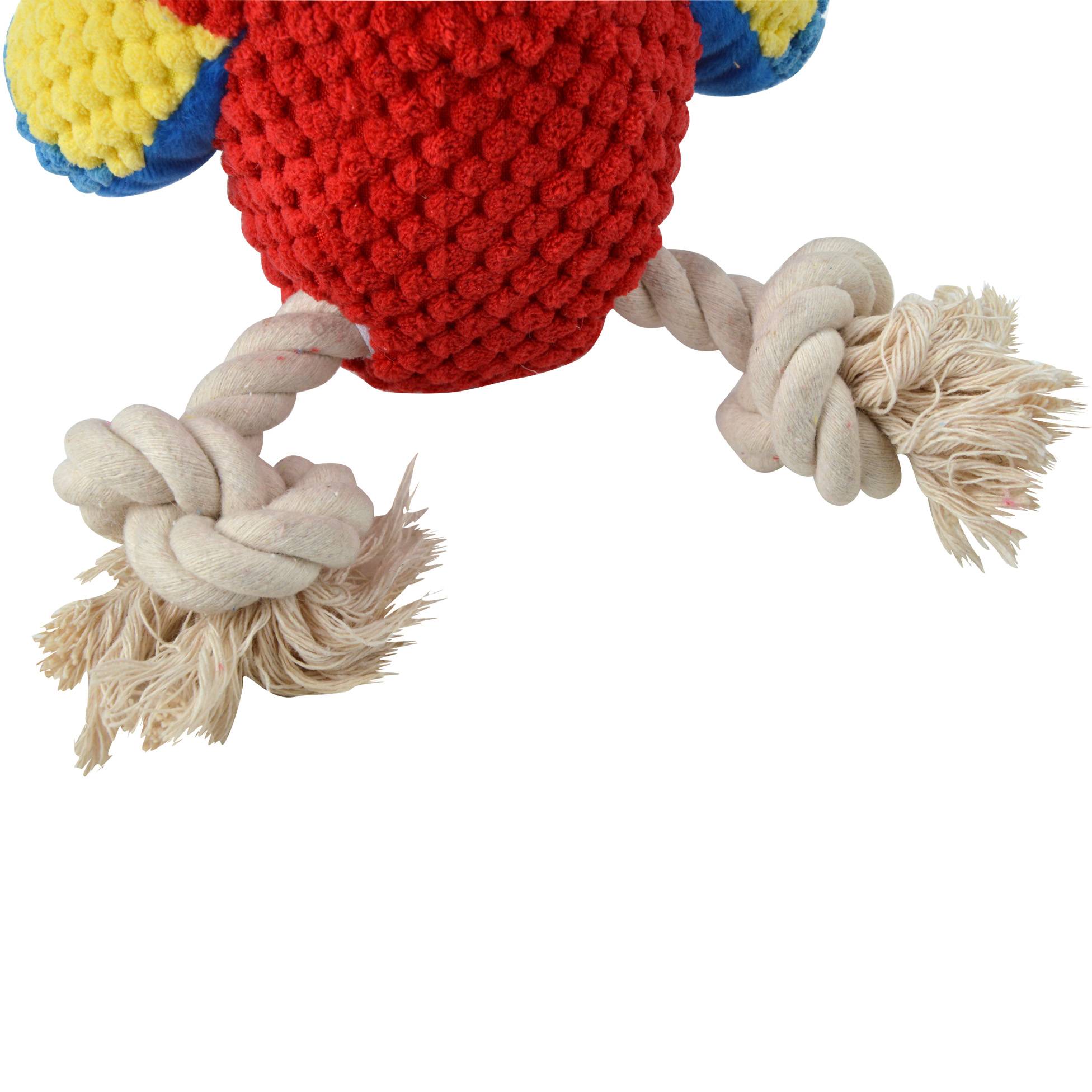 Jeu peluche Mateo le perroquet corde pour chien - Image 3