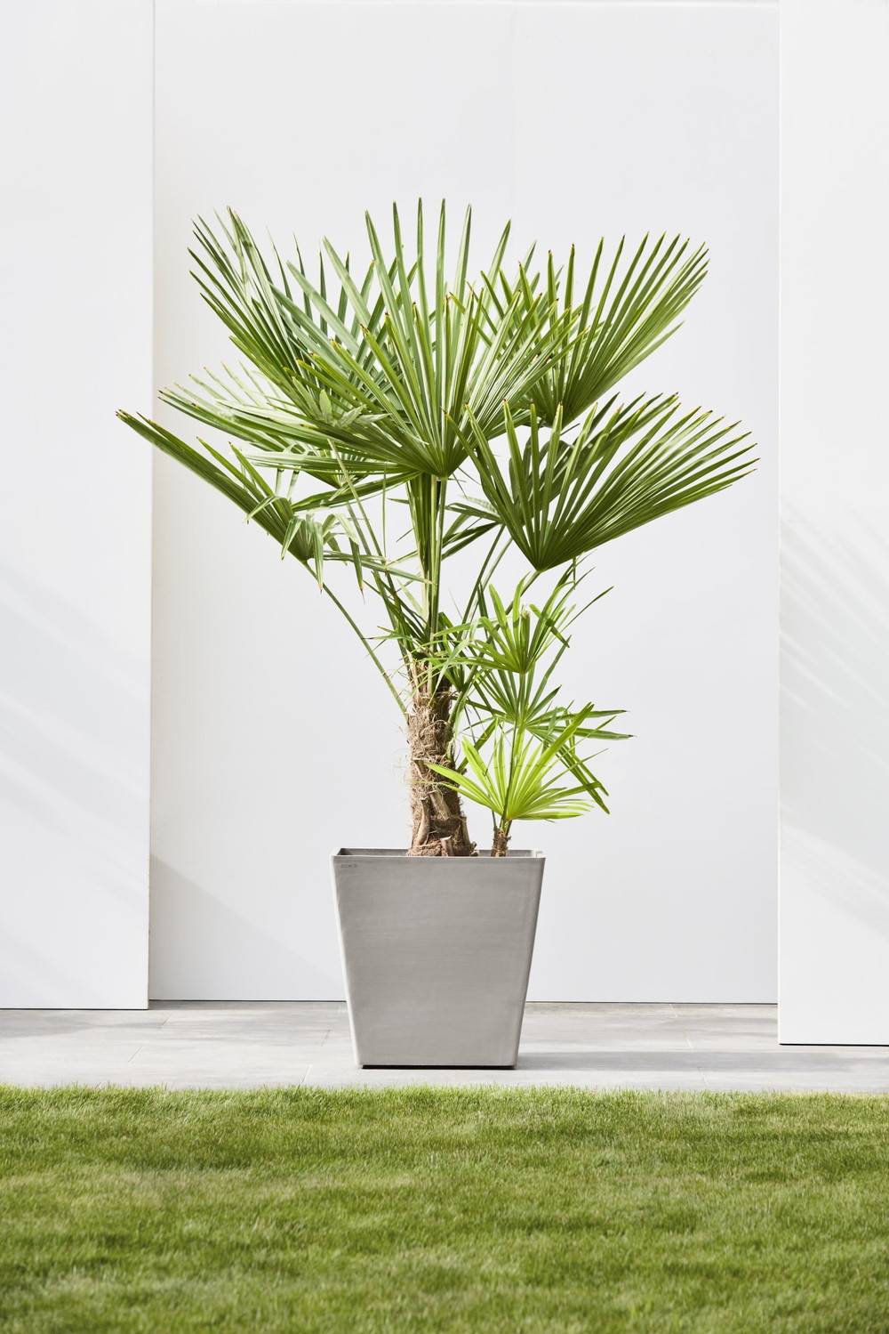 Ecopots - Grand pot sur roues Rotterdam 50 Taupe - 50 x 50 x H. 49,2 cm - 76,3 L ECOPOTS - Imagen 4