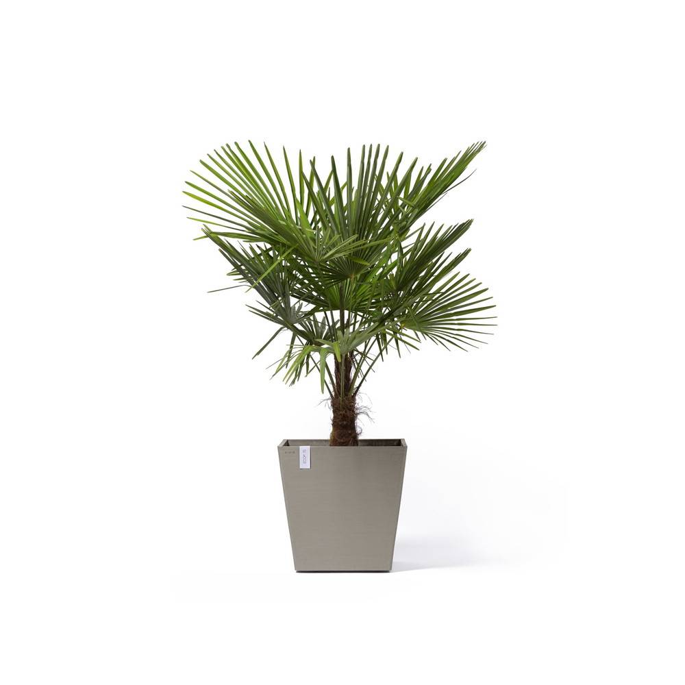 Ecopots - Grand pot sur roues Rotterdam 50 Taupe - 50 x 50 x H. 49,2 cm - 76,3 L ECOPOTS - Imagen 2