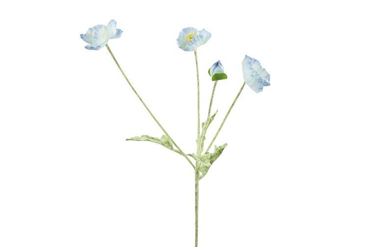 Fleur Cosmos bleu clair-10x10x61CM