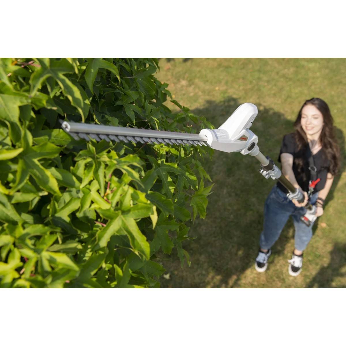 Taille haie sur perche téléscopique 20V - Coupe longueur 40 cm - Batterie lithium 2.0Ah Chargeur 20V - IKRA - Image 3