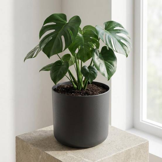 Cache-pot Rond Mat Anthracite 14cm Design Moderne Pour Plantes Intérieur - ComfortXL Green Living - Image 4