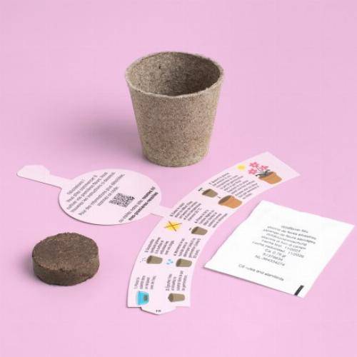 Kit de culture premières récoltes - Basilic - Imagen 4