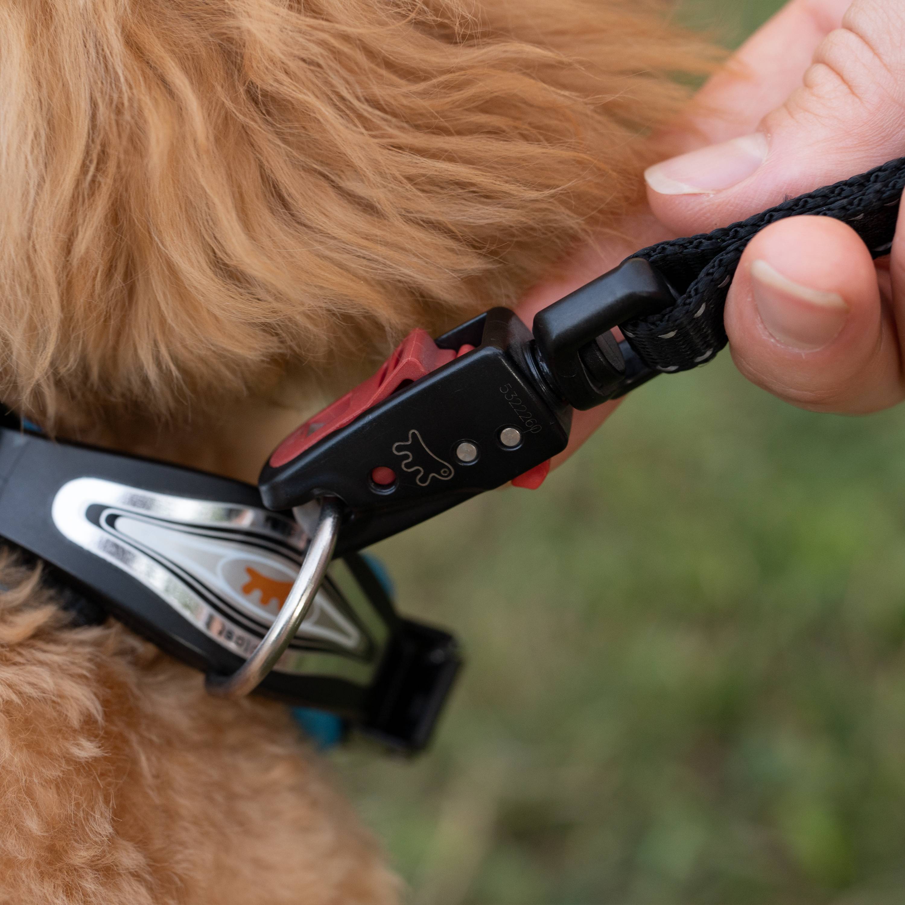 Ferplast - Collier Ergonomique pour Chiens ERGOFLUO C15/33 avec Rembourrage et Fermeture à Micro-régulation - Imagen 4