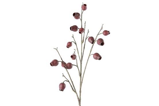 Branche Eucalyptus pourpre-3x14x86CM