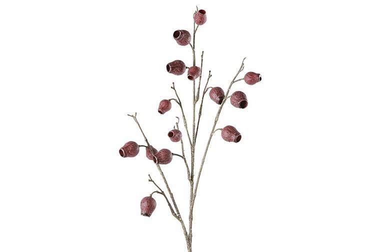 Branche Eucalyptus pourpre-3x14x86CM