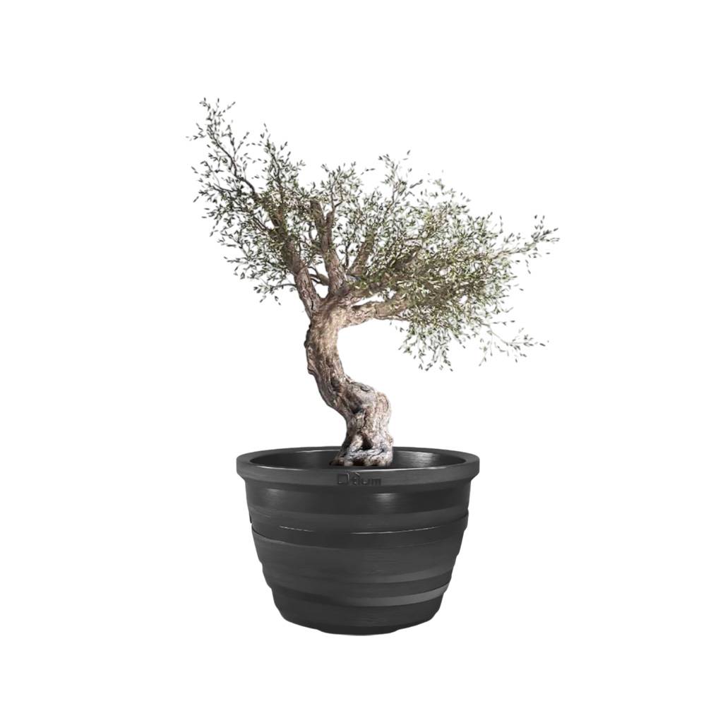 Pot de fleurs lignum 55 - Imagen 3