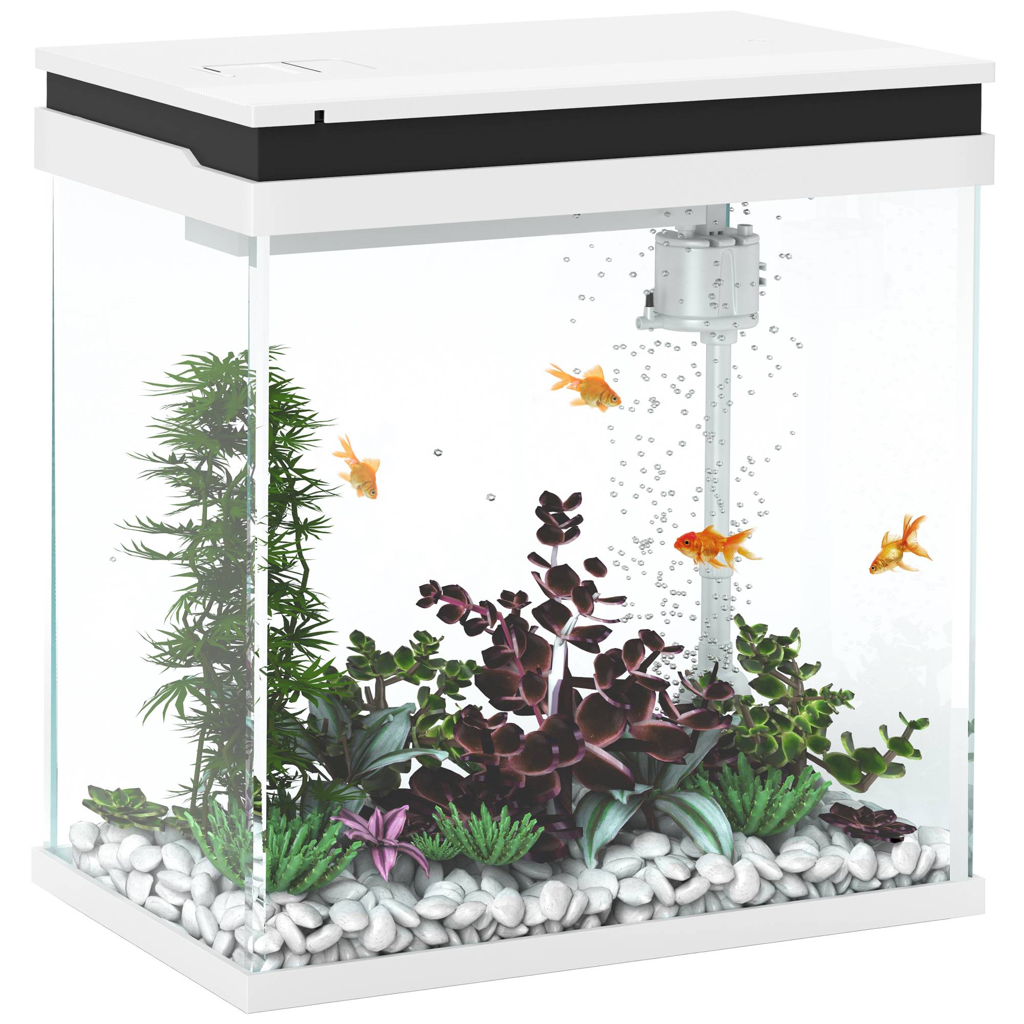 Sans Marque - Petit aquarium complet 14L aquarium en verre avec système de filtration éclairage LED pompe à eau 30 x 20 x 33 cm blanc