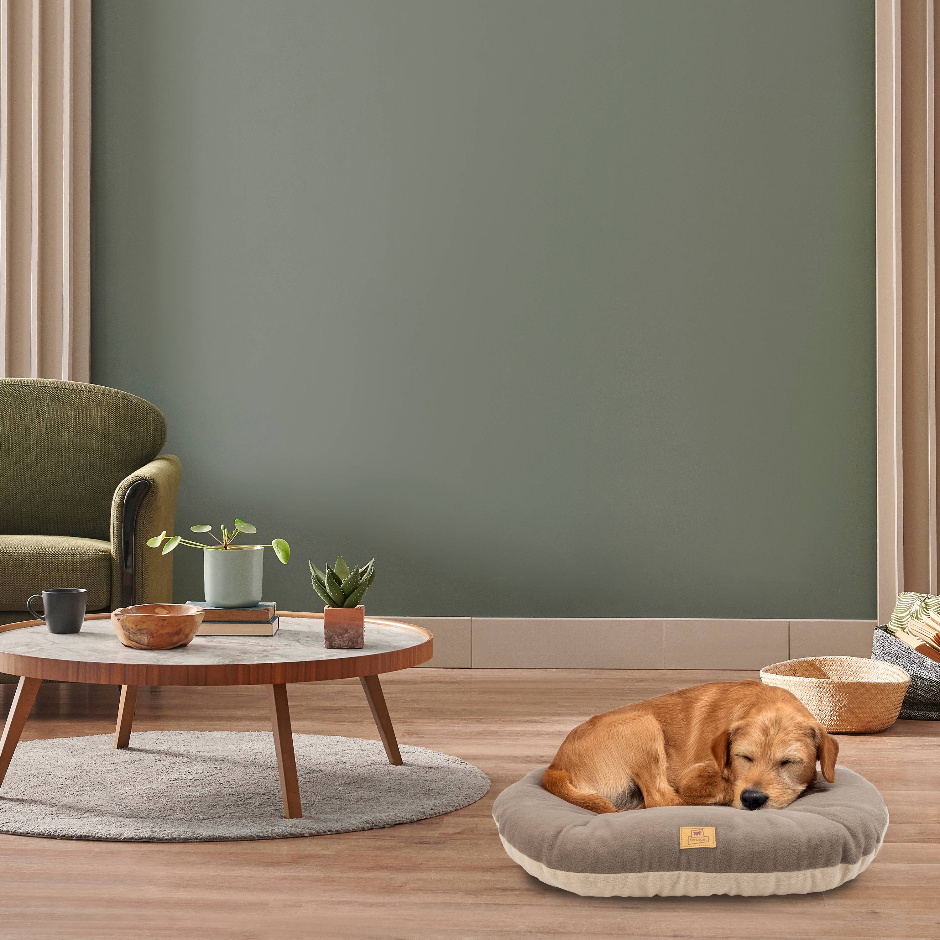 Ferplast - Ferplast Coussin Chien, Tapis Chien RELAX 65/6 MICROFLEECE, Coussin Chat, Lit pour Chiens Chats, Matelas Animaux, Coussin pour Panier Chien et Chat, - Imagen 4
