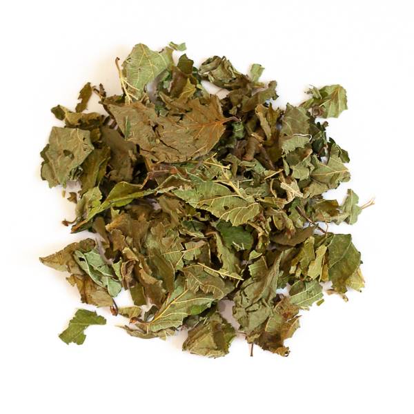 Feuilles de noisetier - 50 g - L'Eden des Pattounes