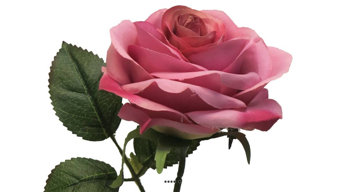 Artificielles - Rose factice Paris H64cm tête D9cm 12 feuille tissu Rose soutenu BEST - couleur: Rose soutenu - Imagen 3