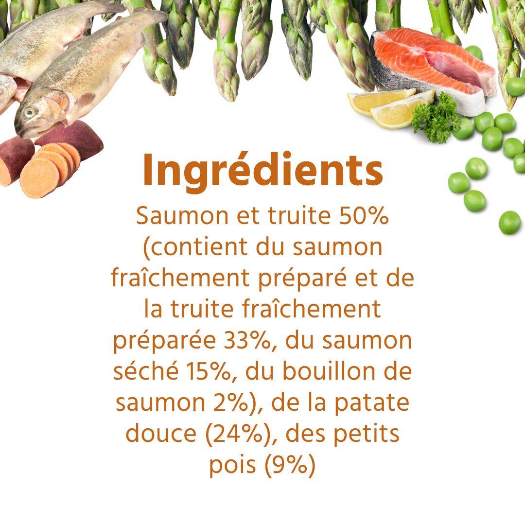 Wildfang - Wildfang - Coffret Gourmet Adulte - Aliments secs et humides - 3 x Saumon avec truite / 2 x Agneau - Image 3