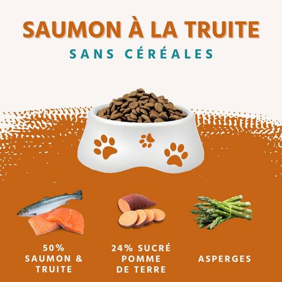 Wildfang - Wildfang - Coffret Gourmet Adulte - Aliments secs et humides - 3 x Saumon avec truite / 2 x Agneau - Image 2