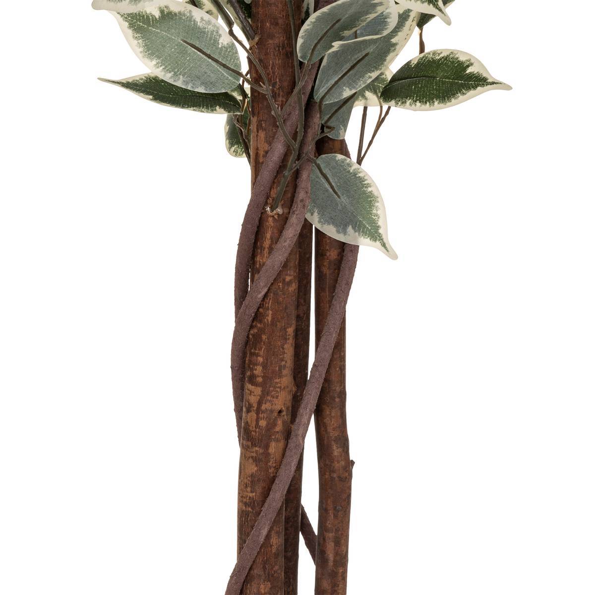 Atmosphera - Ficus artificiel "Benjamina" vert foncé H180cm - Atmosphera Créateur d'intérieur - Imagen 3