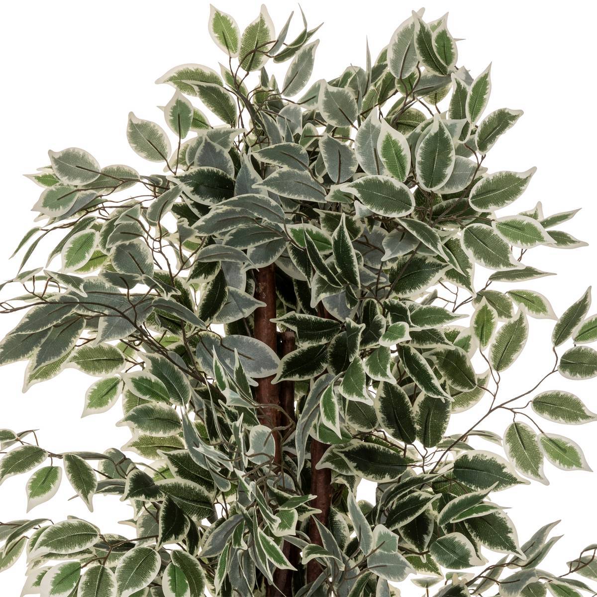 Atmosphera - Ficus artificiel "Benjamina" vert foncé H180cm - Atmosphera Créateur d'intérieur - Imagen 2
