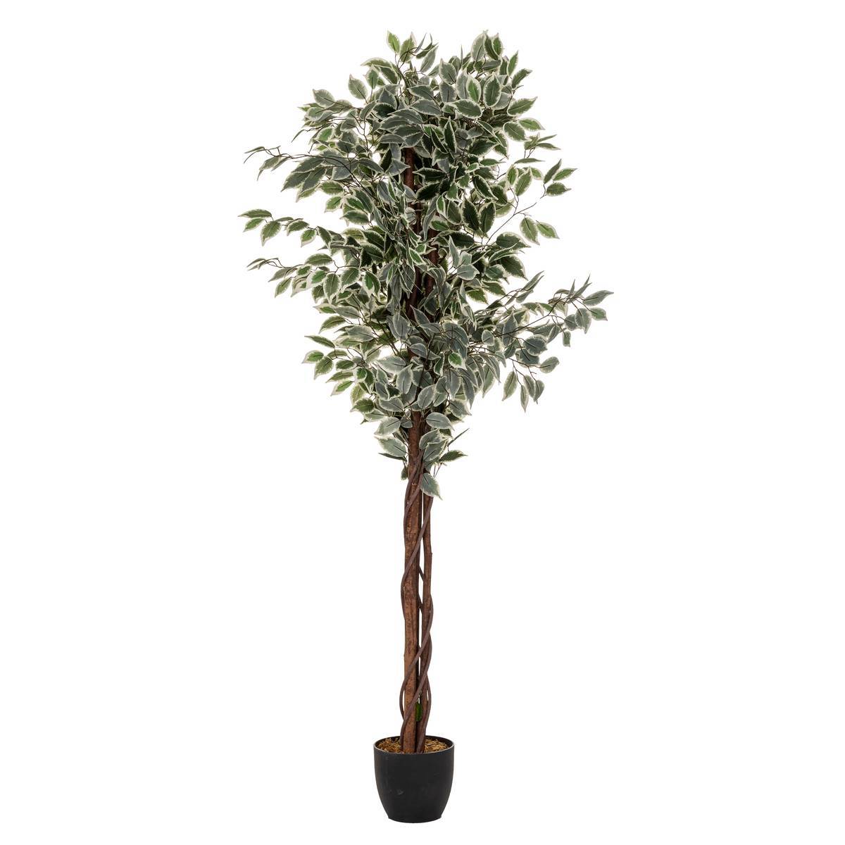 Atmosphera - Ficus artificiel "Benjamina" vert foncé H180cm - Atmosphera Créateur d'intérieur - Imagen 1