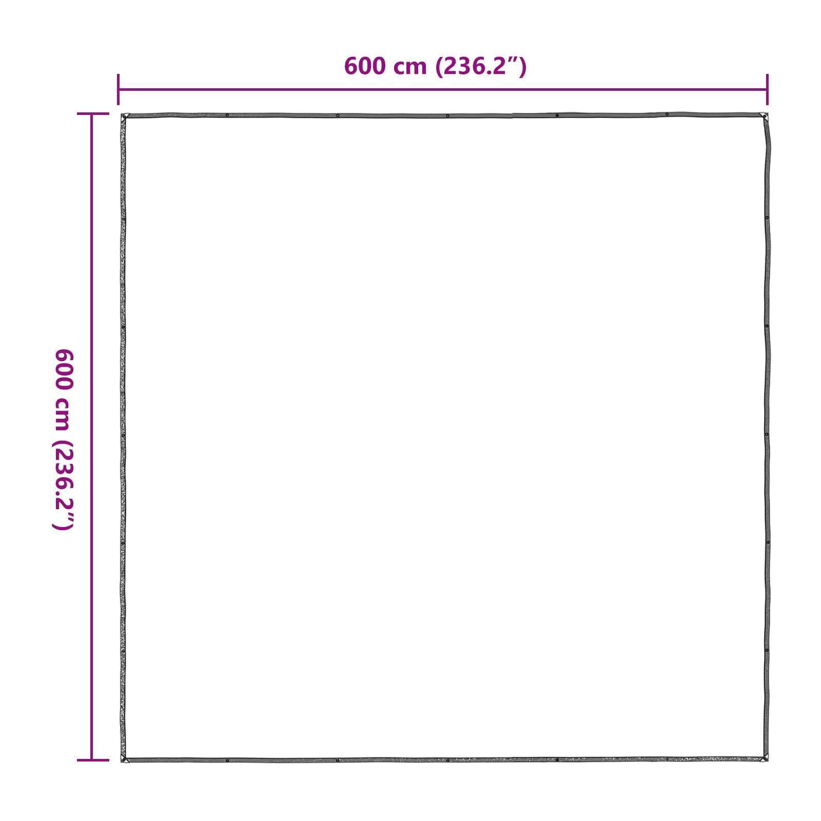 Vidaxl - Couverture pour plantes 6 x 6 m PE Translucide vidaXL 3429325 - Image 3