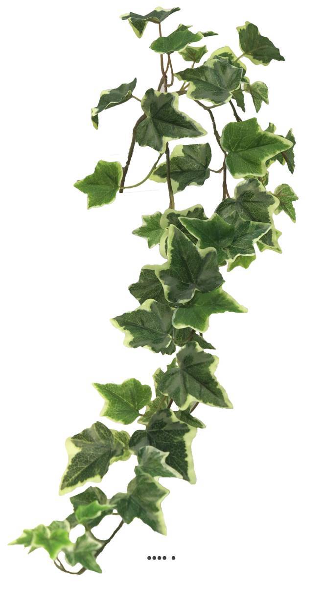 Lierre artificiel en chutes, 3 ramures, L 80 cm Panaché - BEST - couleur: Blanc-vert - Image 2