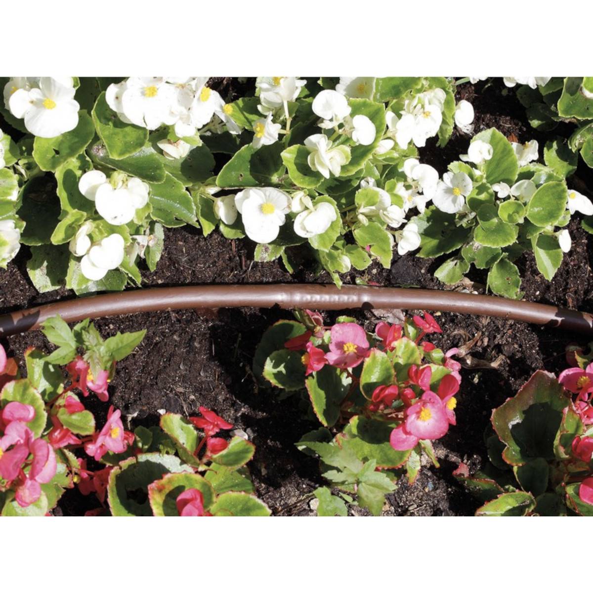 Claber - Tuyau d'arrosage goutte à goutte - 16 mm - espacement de 33 cm - marron 90356 Claber - Imagen 2