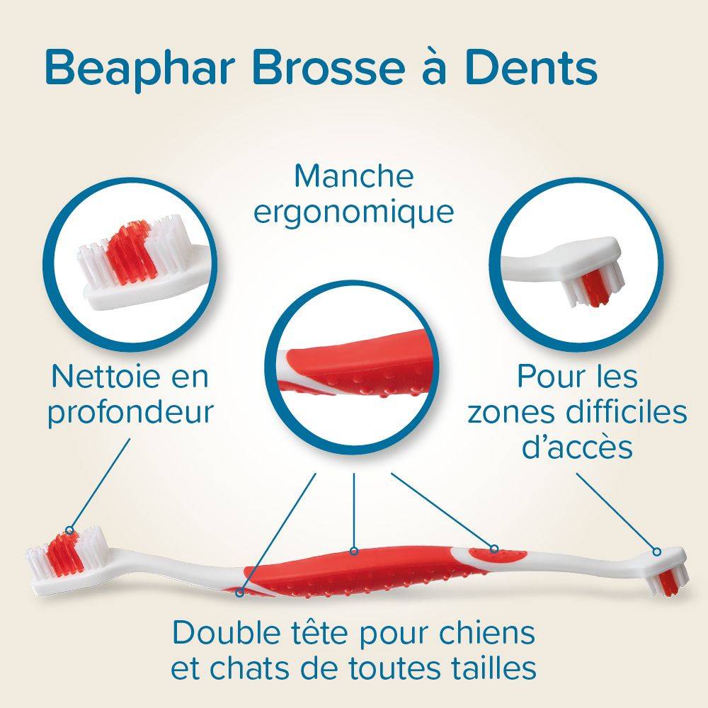 Pack Pâte dentifrice et brosse à dents Beaphar BEAPHAR - Image 10