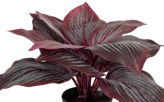Hosta artificiel en pot H 20 cm D 30 cm Large feuille factices Rouge - couleur: Rouge - Image 3
