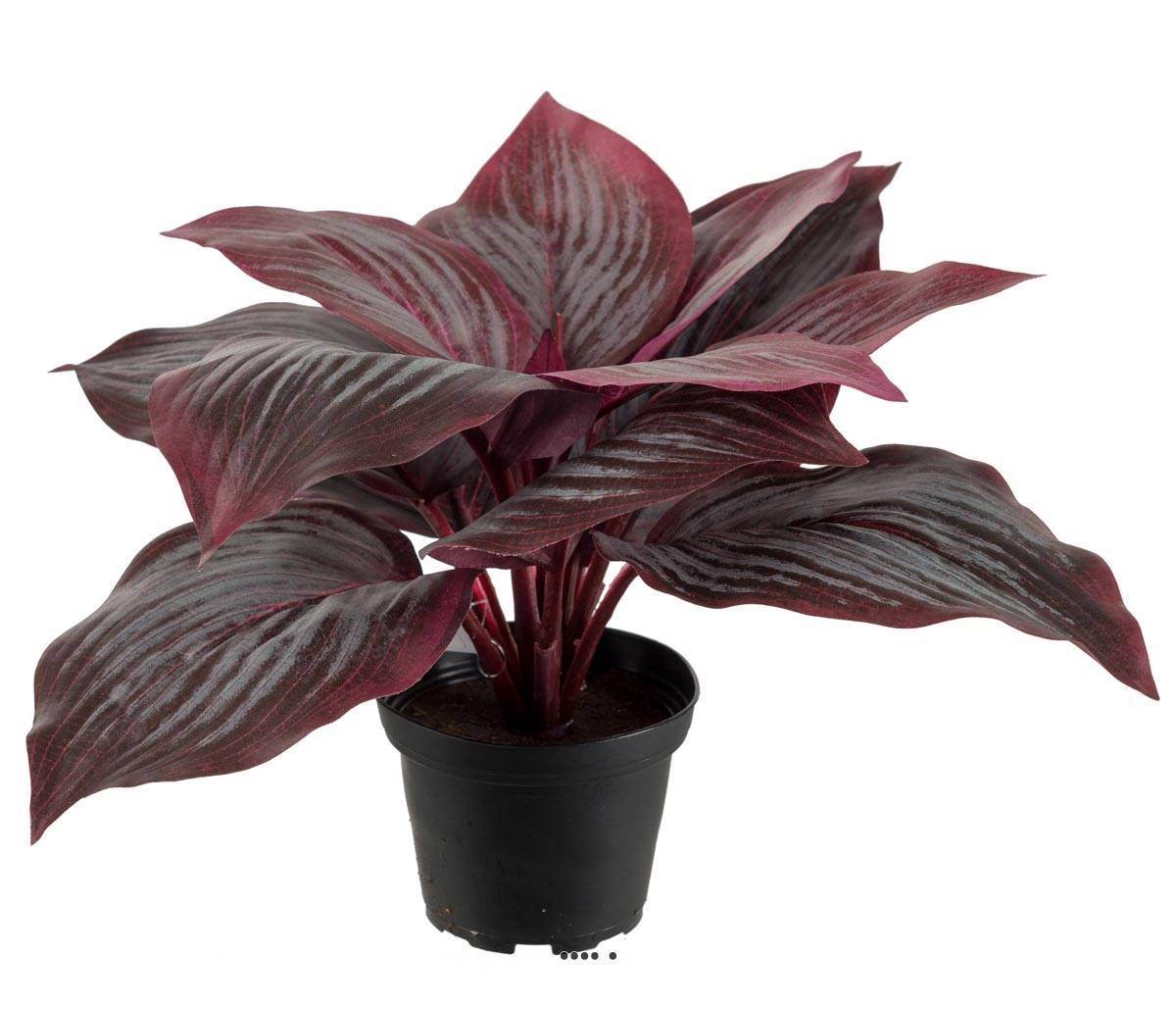 Hosta artificiel en pot H 20 cm D 30 cm Large feuille factices Rouge - couleur: Rouge - Image 1