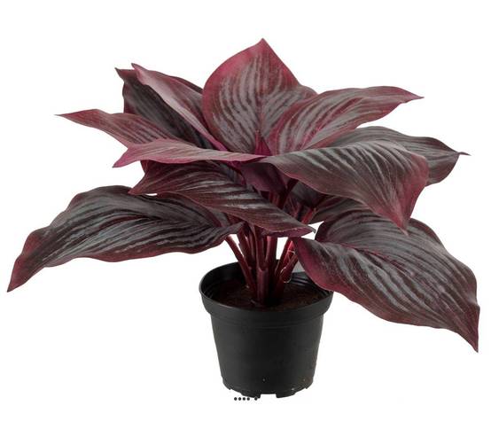 Hosta artificiel en pot H 20 cm D 30 cm Large feuille factices Rouge - couleur: Rouge - Image 2