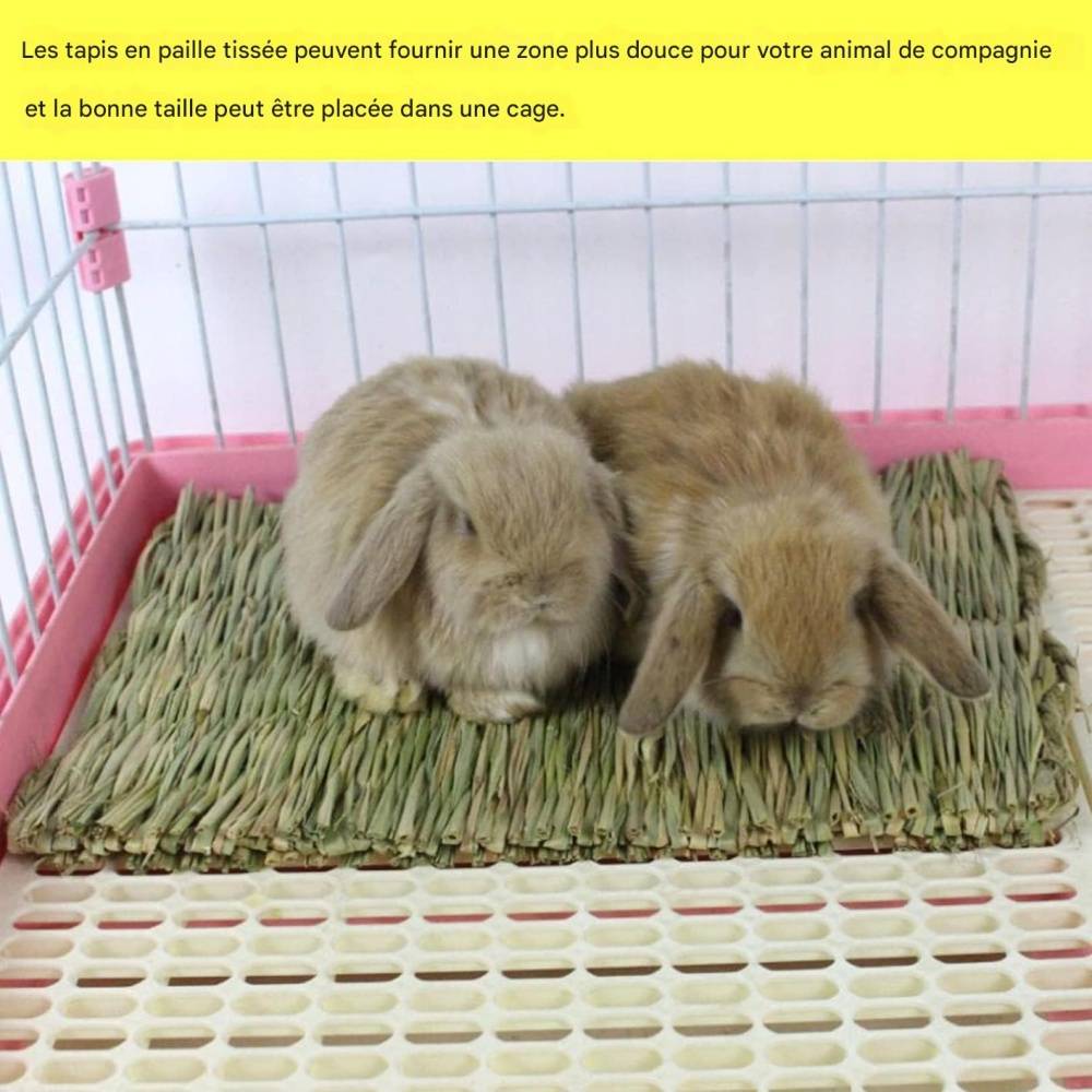 DtopbuyAge - Tapis d'herbe pour lapin, hamster, cochon, perroquet DtopbuyAge - Image 2