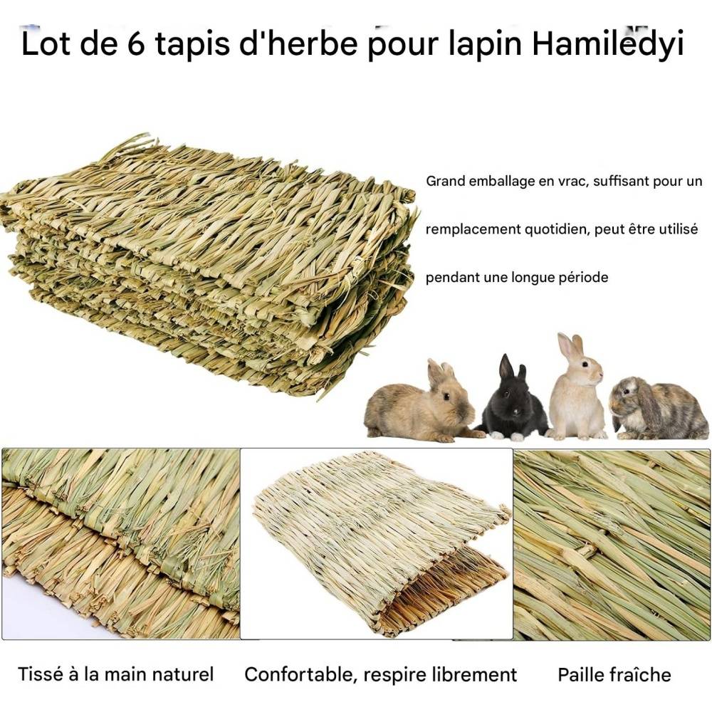 DtopbuyAge - Tapis d'herbe pour lapin, hamster, cochon, perroquet DtopbuyAge - Image 3